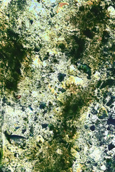 Similar image 7749153