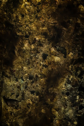 Similar image 7749154