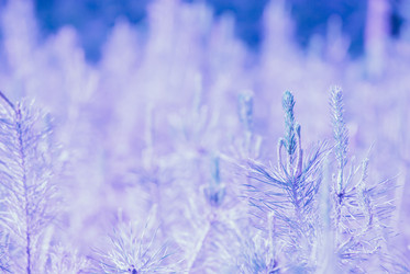 Similar image 7749169