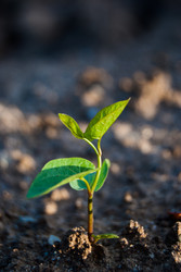 Similar image 7749172