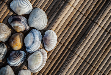 Similar image 7749173