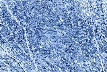 Similar image 7749175