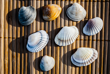 Similar image 7749181