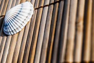 Similar image 7749186