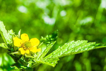 Similar image 7749191