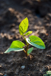 Similar image 7749199