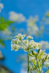 Similar image 7749202