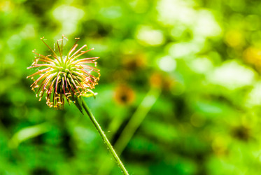 Similar image 7749211