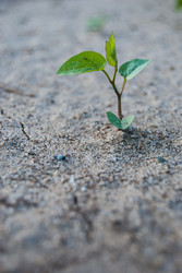 Similar image 7749214