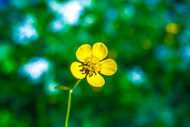 Similar image 7749216