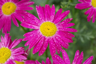 Similar image 7750091