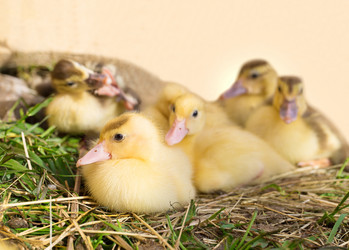 Similar image 7750131