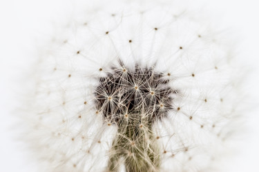 Similar image 7750347