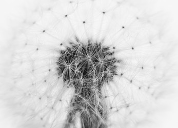 Similar image 7750348