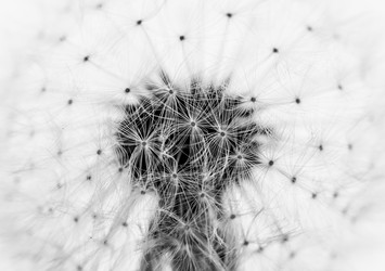 Similar image 7750357