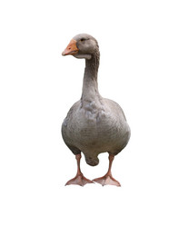 Similar image 7750413