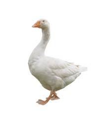 Similar image 7750414