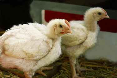 Similar image 7750415