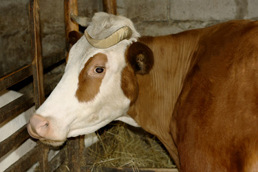 Similar image 7750416