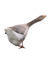 Similar image 7750417