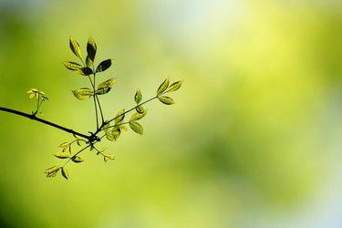 Similar image 7750479