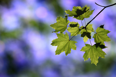 Similar image 7750480