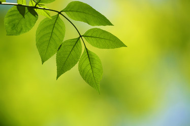 Similar image 7750481