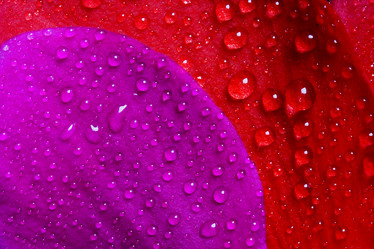 Similar image 7750642