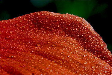 Similar image 7750683