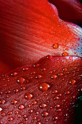 Similar image 7750684