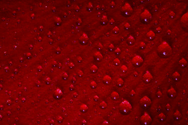 Similar image 7750690