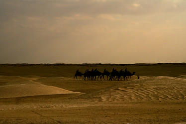 Similar image 7750697