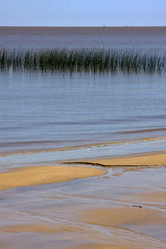 Similar image 7750756