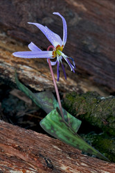 Similar image 7750809