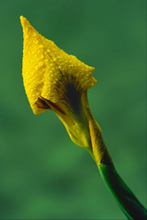 Similar image 7750826