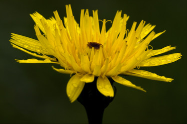 Similar image 7750886