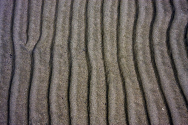 Similar image 7750934