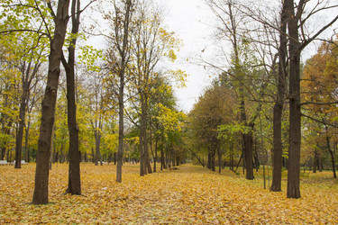 Similar image 7751087