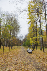 Similar image 7751090