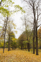 Similar image 7751091