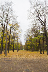 Similar image 7751096