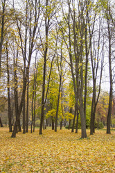 Similar image 7751101