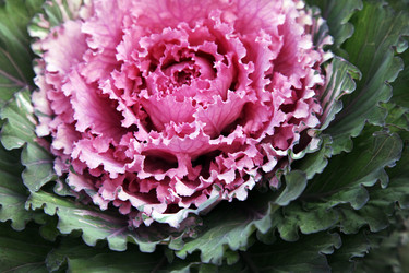 Similar image 7751315