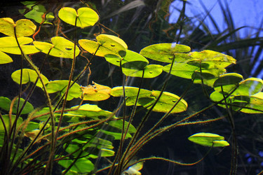 Similar image 7751316