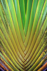 Similar image 7751317