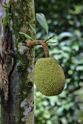 Similar image 7751319