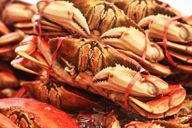 Similar image 7751321