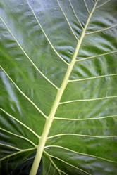 Similar image 7751322