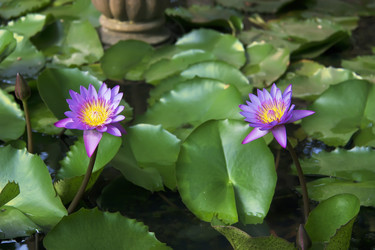 Similar image 7752197