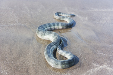 Similar image 7752400